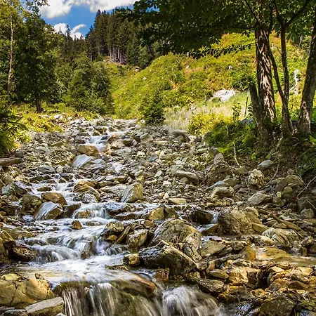 Hinterglemm Kitzbueheler Alpen Salzburg