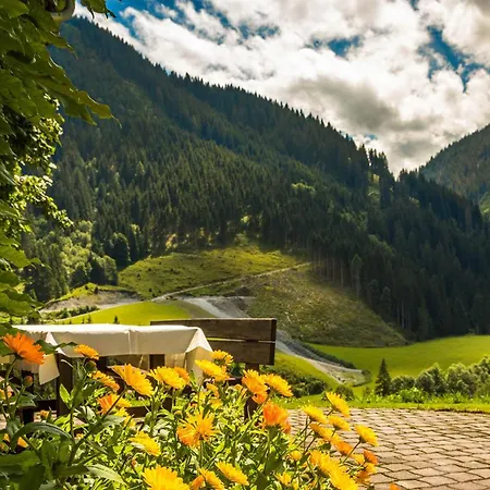 Hinterglemm Kitzbueheler Alpen Salzburg *