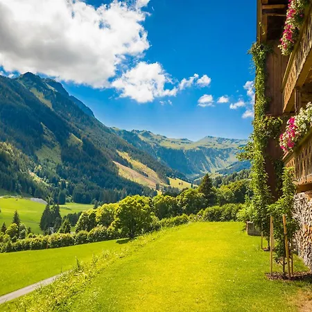 Hinterglemm Kitzbueheler Alpen Salzburg *